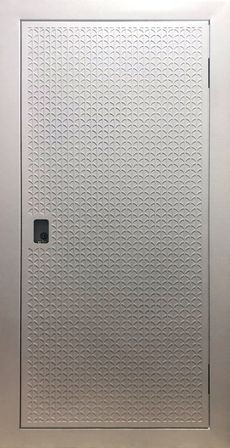 Техническая дверь со скрытыми петлями